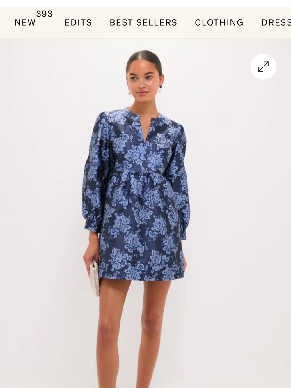 Tuckernuck-Blue Floral V-Neck Long Sleeve Mini Dress